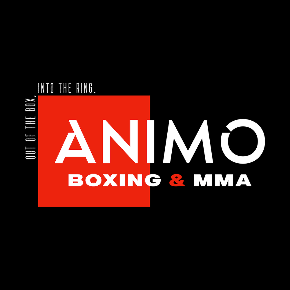 Animo Boxing & MMA